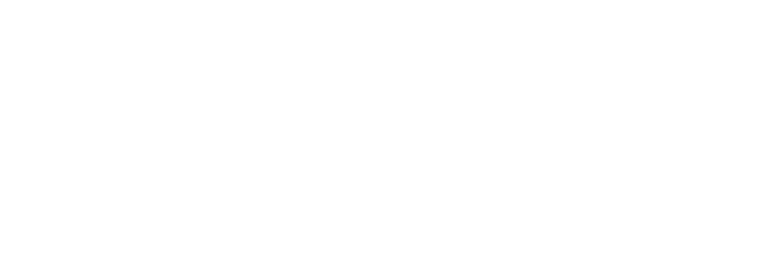 Schaeffer Fink and Moss CPAs P.C., a full service accounting firm